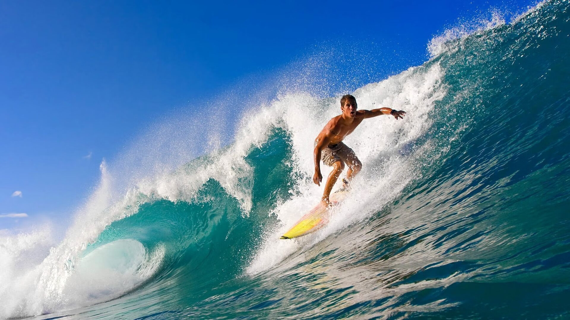 爱游戏官网app-体育新闻中心主办国际体育内容技术融合创新论坛，国内国际体育十大新闻